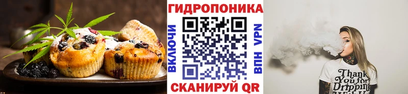 гидра как зайти как найти закладки Исилькуль Печенье с ТГК марихуана