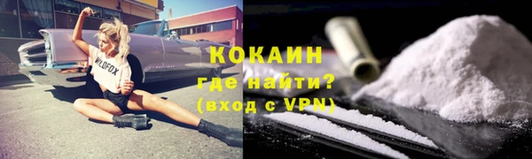 мдпв Новозыбков