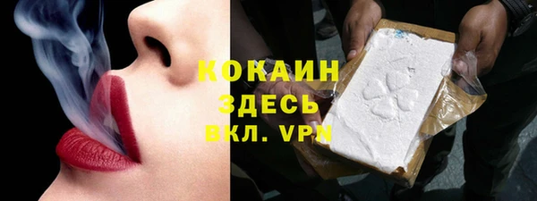 твердый Новодвинск