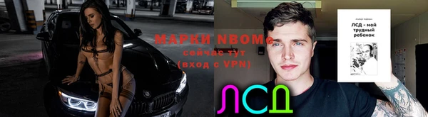 мдпв Новозыбков