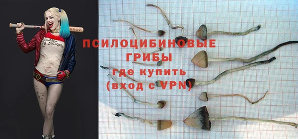 твердый Новодвинск