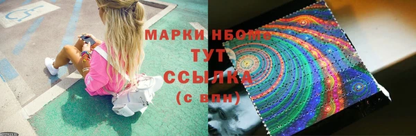 мдпв Новозыбков
