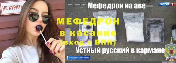 стаф Новокубанск
